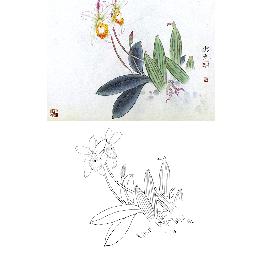 白描底稿-工笔花鸟-a222