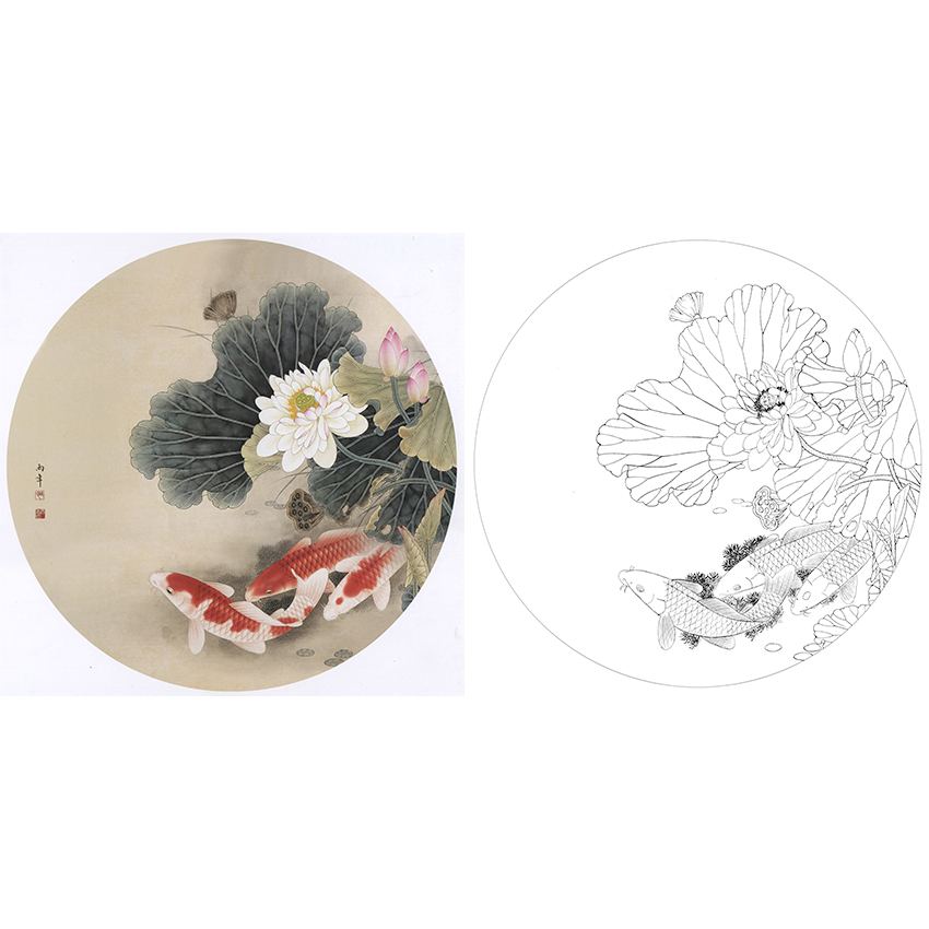 斗方小品白描底稿-路雨年工笔花鸟-荷花鲤鱼-a410