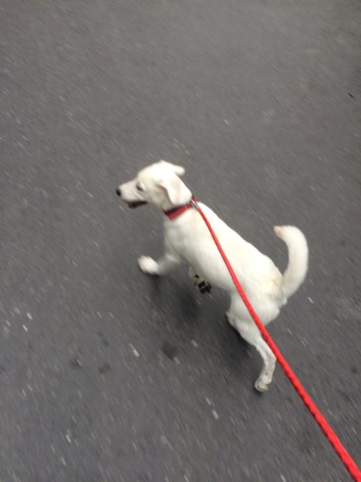 拼一下团吧 商品图0