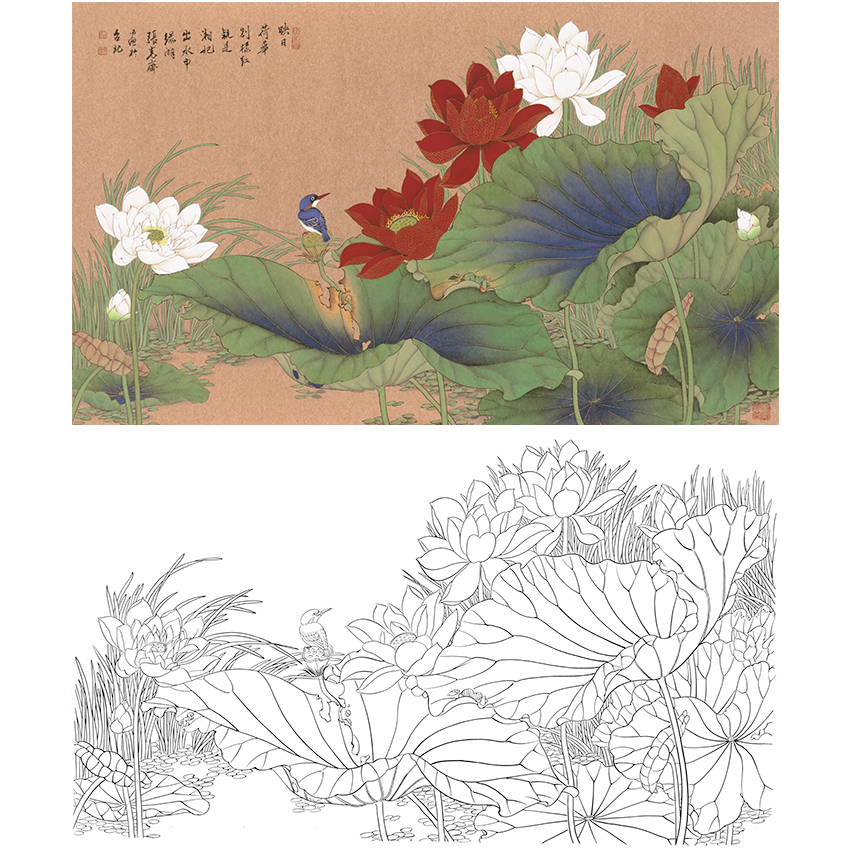 白描底稿-张克齐工笔花鸟-荷花-a507