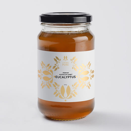 【暂售罄】丽珀澳大利亚蜂蜜（玻璃瓶） 商品图1