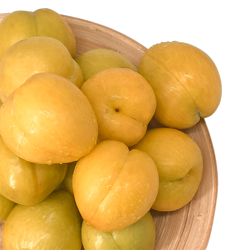 韶关九峰山黄金柰李 黄布林 5斤包邮