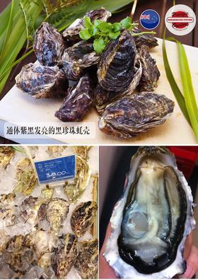 新西兰马尔伯勒生蚝 大码 l码 12只 省内包邮