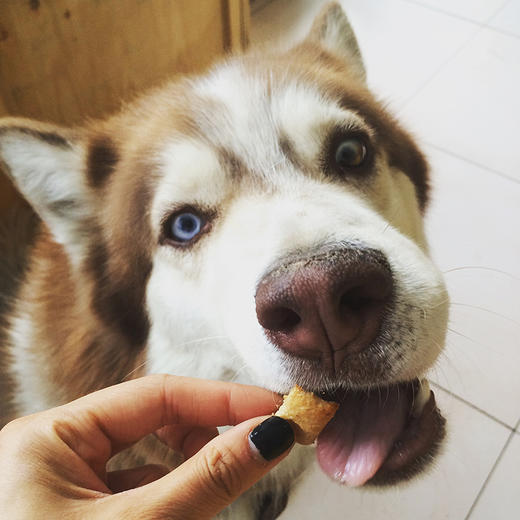 凯撒钙骨骨饼干 商品图2