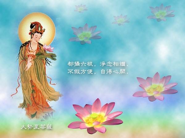 �������ۡ�2017�����������ʥ�����ƹ��ޣ���Բ����