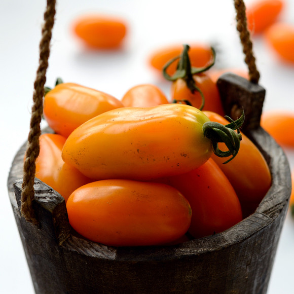 甜旅农庄有机种植美人指黄色小番茄买一斤送一