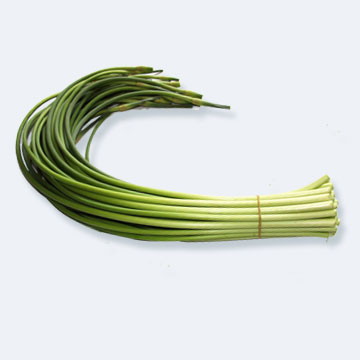 【蒜 苔】 鲜嫩时蔬 时价