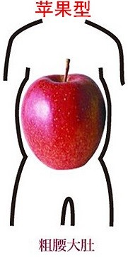 E11.苹果型身材风险基因检测