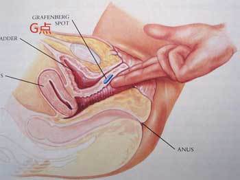 女生私密處如何保養一次告訴你