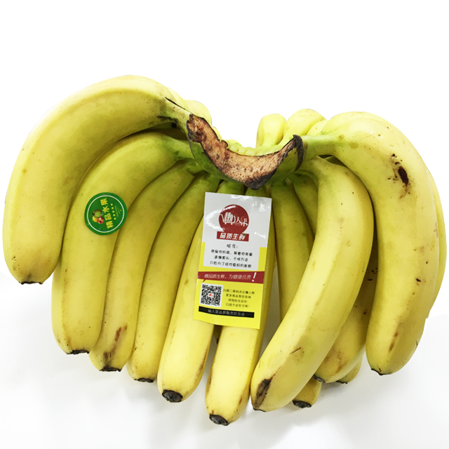 【时令水果】香蕉约500g(一斤2根到3根)