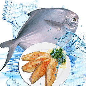 白仓鱼【澳内海鲜】