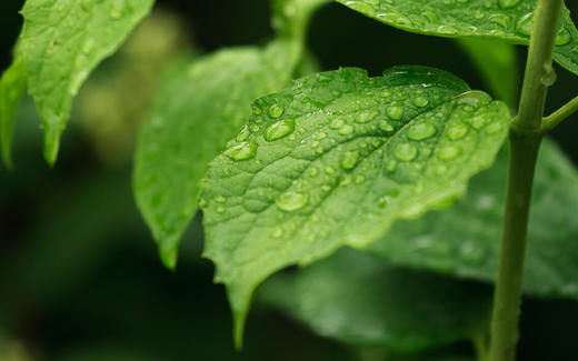 会员价商品 商品图0