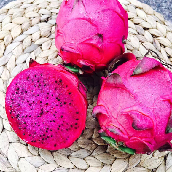 京都一号蜜宝火龙果! 6颗装 108元包邮!空运