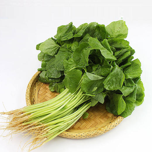 苋菜-广东清远 南方传媒农业基地【不发广东省外】 商品图0