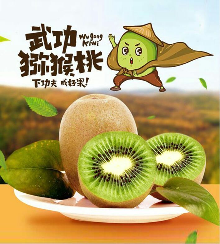 武功猕猴桃