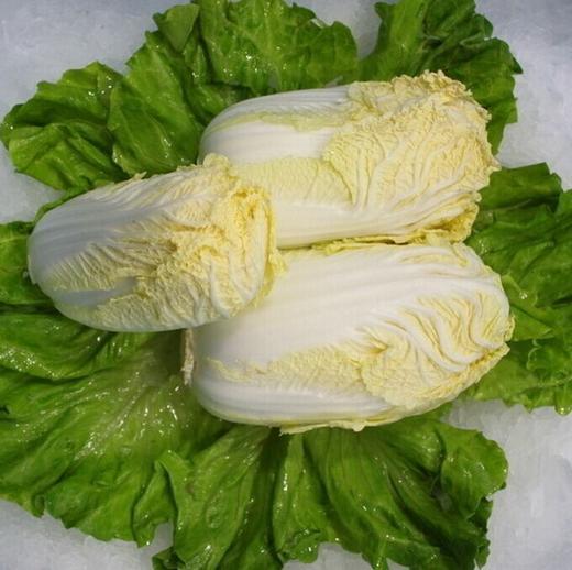 203黄心菜约500克 商品图0