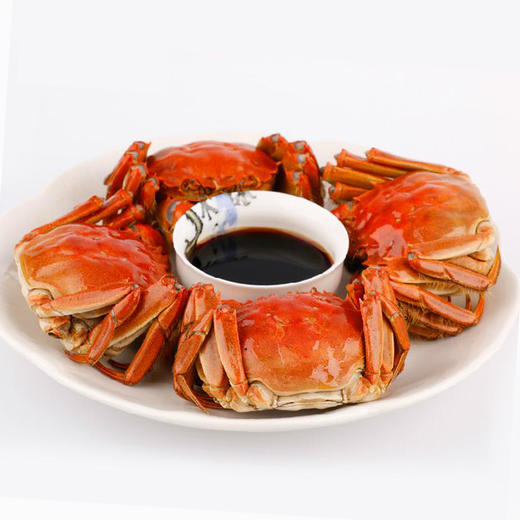 【正品阳澄湖大闸蟹礼品卡】平步青云B款2288型十只装 商品图1