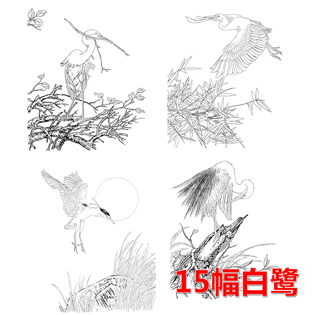 15幅白鷺白描合集--無彩圖-整套出售-db11