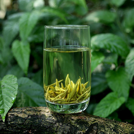 【巴南银针明前250g】 2026新茶/绿茶/经典袋装 商品图2