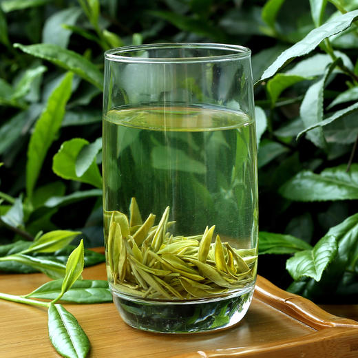 【巴南银针特级250g】 2026新茶/绿茶/经典袋装 商品图1