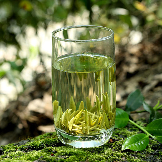 【巴南银针雨水100g】2026新茶/绿茶/经典袋装 商品图1