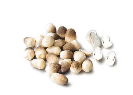 100草菇 250克 商品图0