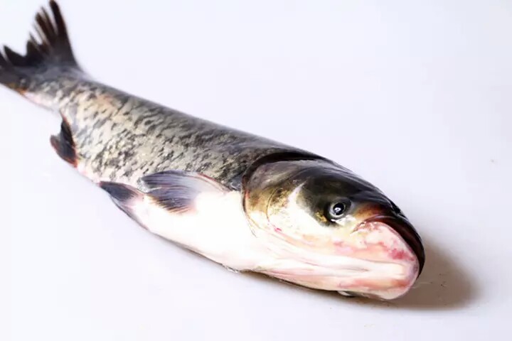 流水鱼-花鲢鱼20/kg