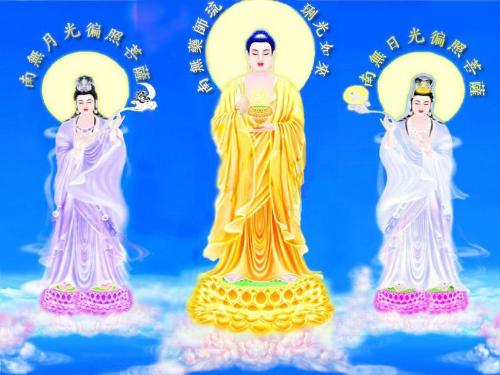 2016���¹�����ʥ���߰���ʮ�����﹩���������ޣ���Բ����