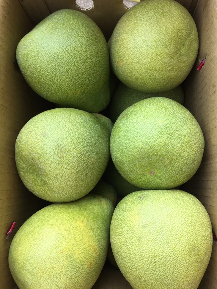 「水果优选」台湾麻豆文旦柚