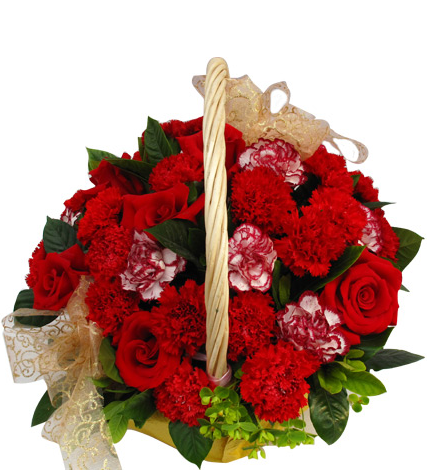 感谢一生—红康乃馨20枝,紫边康乃馨6枝,红玫瑰6枝