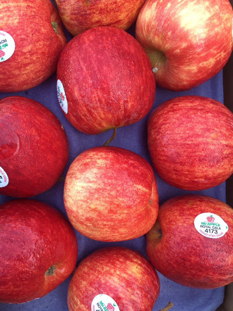 【京津冀包邮】还有好消息公布:新西兰嘎啦苹果(royal gala)来啦!