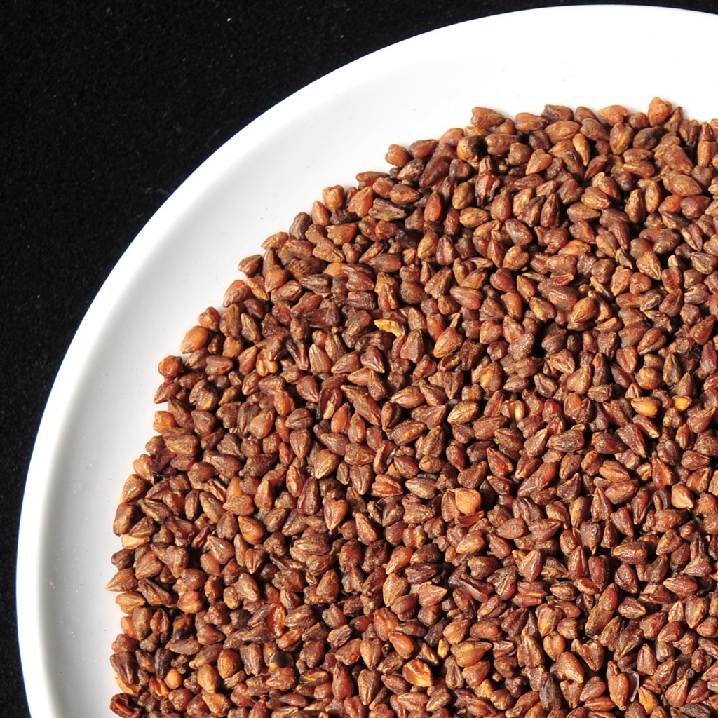 爱点苦荞麦茶 黑苦荞茶荞子茶四川凉山全胚花草茶 罐装凝香500克