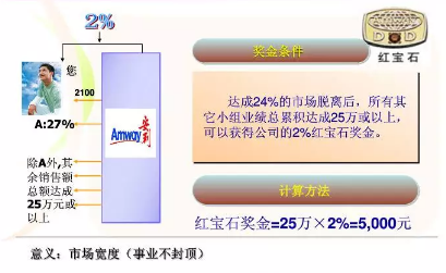 安利银章收入(3)