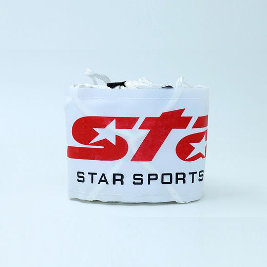 沃恺体育:STAR/世达 足球10个 装网兜 ST920 商品图1