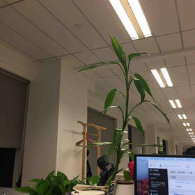 丁文涛测试自定义会员价