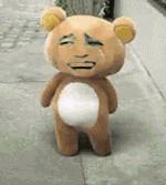 TEST_STEVE 商品图0