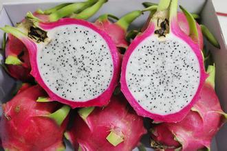 越南白心火龙果2个装仅售9.