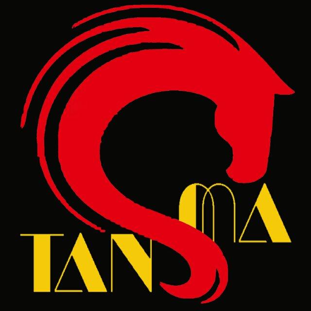 批发柒号店200511