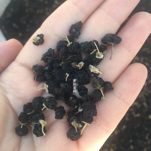 【新年福利】【好货不存私】【新疆搜寻的第一