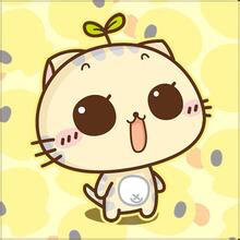 不二测试虚拟商品0.01批改 商品图0