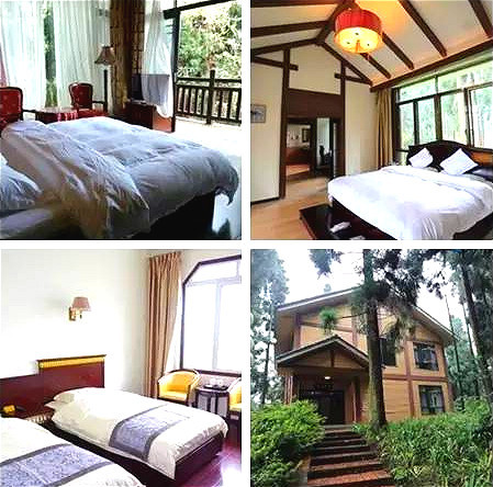 【玉屏山树屋】仅353元起住特色"鸟巢"树屋,小木屋别墅!