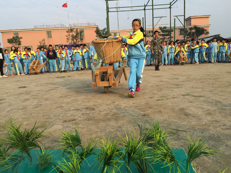 【学农主题】趣味农运会