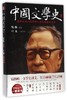 【中信书店 正版书籍】中国文学史 钱穆讲述 叶龙记录整理 中国文学入门书 宏观论述+史学考证+文人点评+作品赏析 商品缩略图0