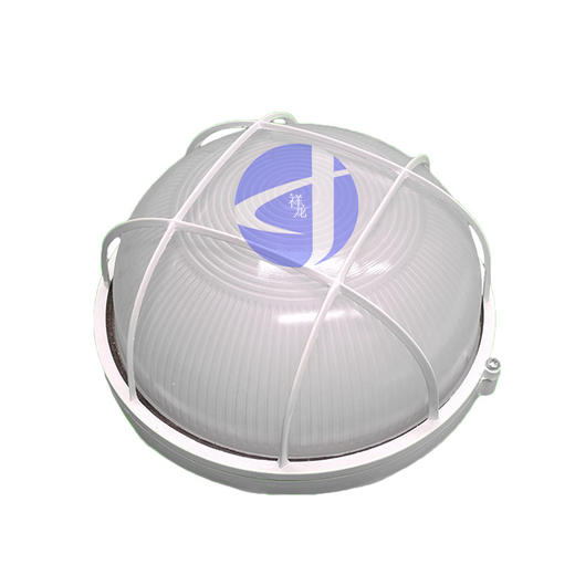 普通圆形冷库灯 大号 商品代码91031 商品图0