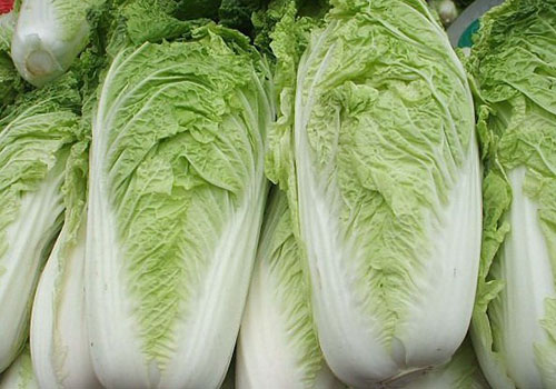 大白菜(斤) - 中南微社区