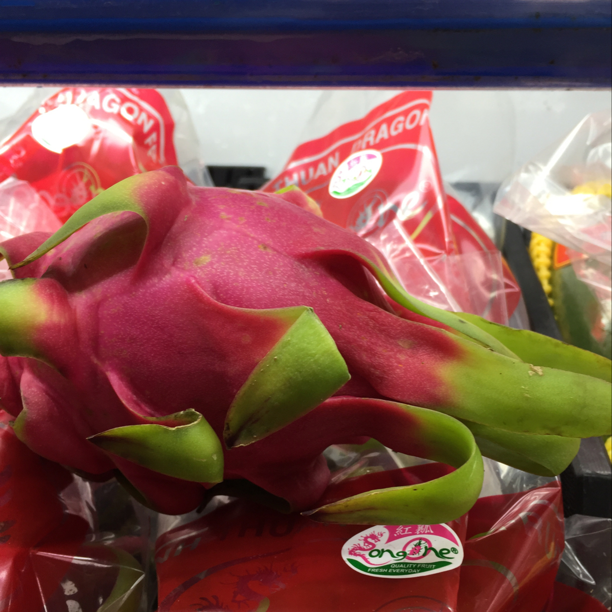 红心火龙果12元/斤