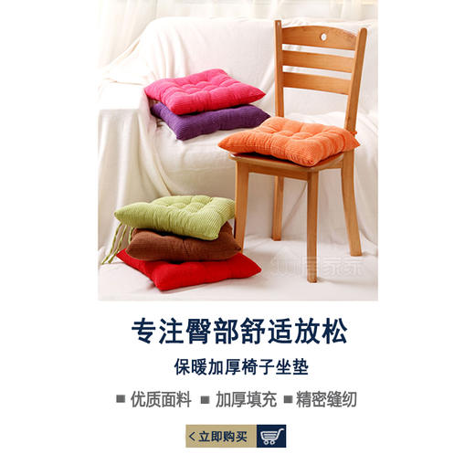 秋冬保暖坐垫  秋冬凳子餐椅办公室座垫 商品图1