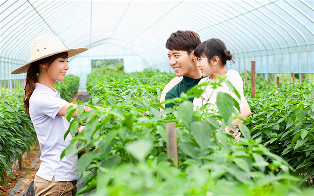 【亲子活动-团体定制】小小农业科学家·农业知识 动物喂养 饺子制作