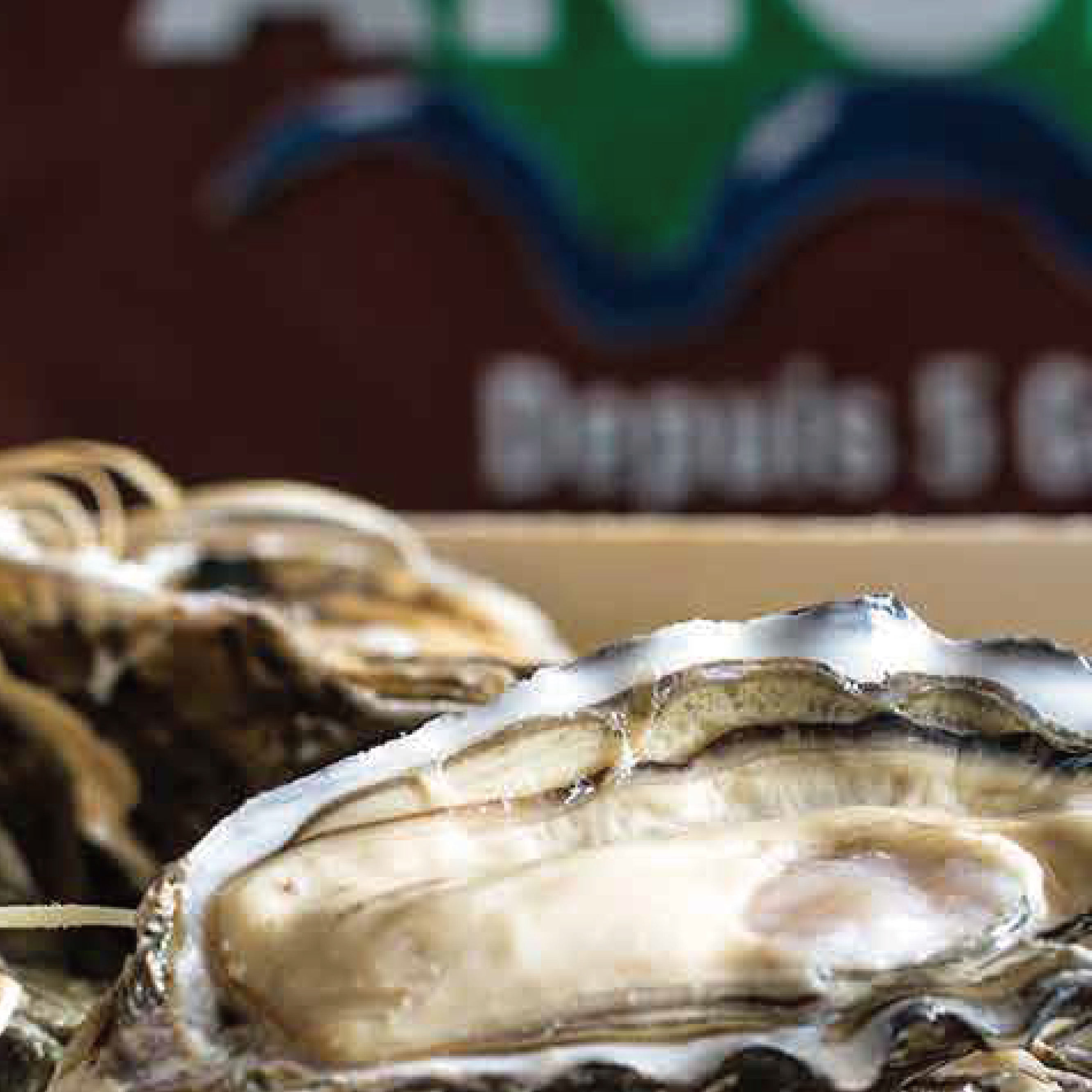 法国安之莲生蚝 / 箱