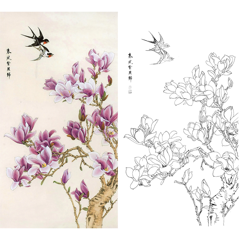 白描底稿-工笔花鸟-xv03